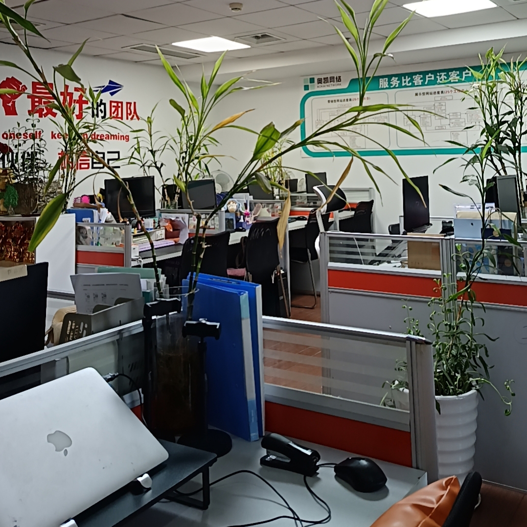 余姚工业品网络营销这行当，让我深陷其中